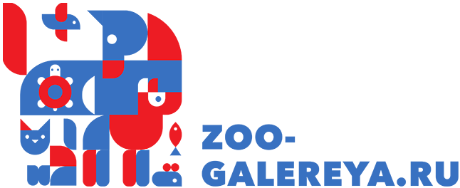 zoo-galereya.ru